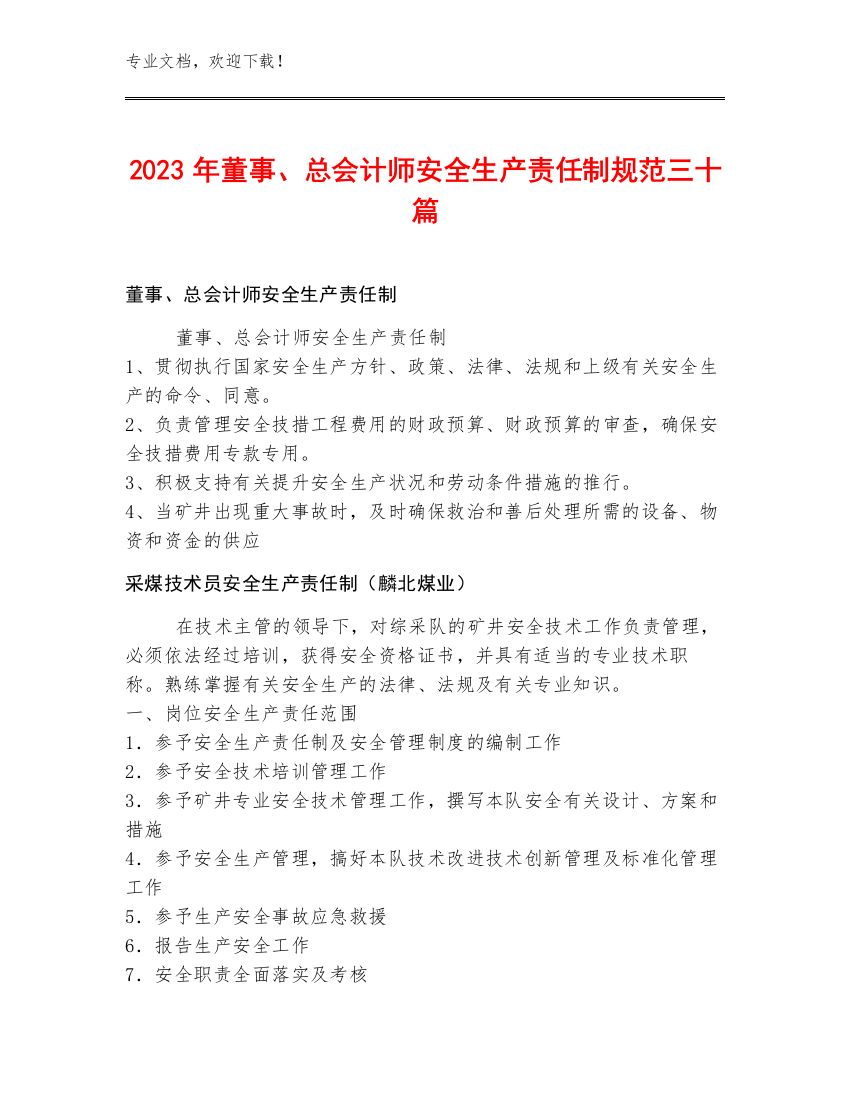 2023年董事、总会计师安全生产责任制规范三十篇