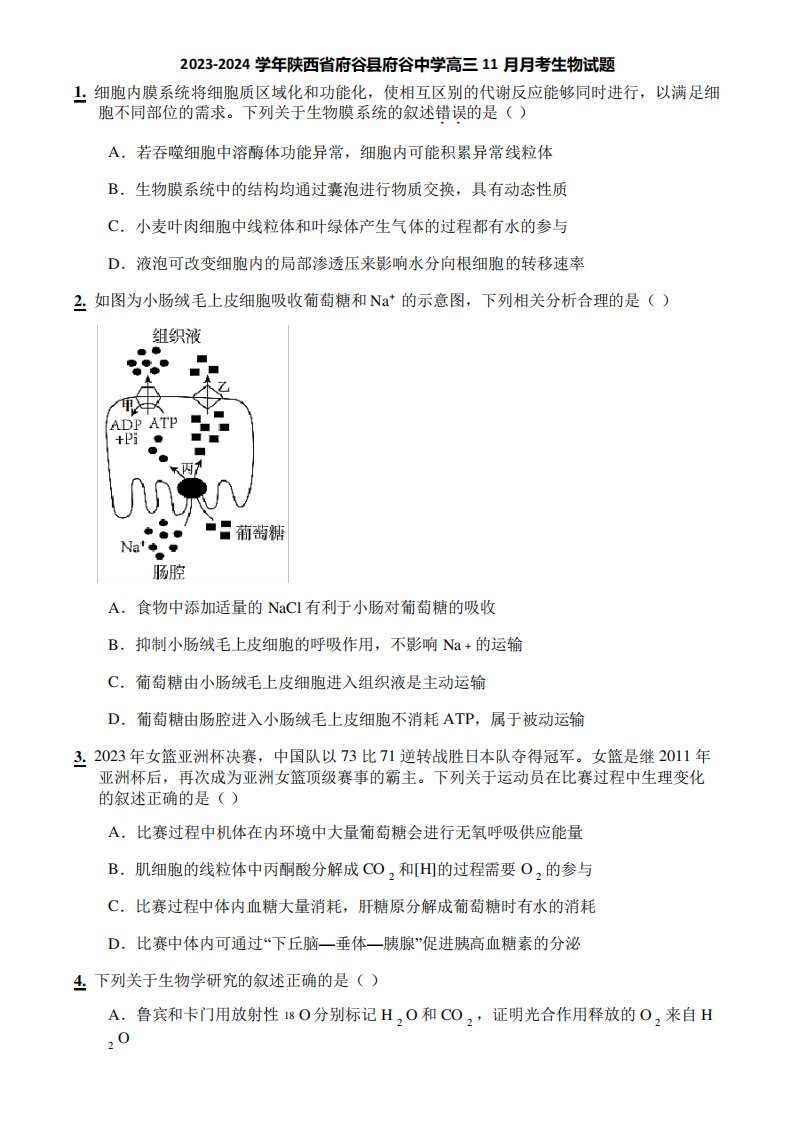 2023-2024学年陕西省府谷县府谷中学高三11月月考生物试题