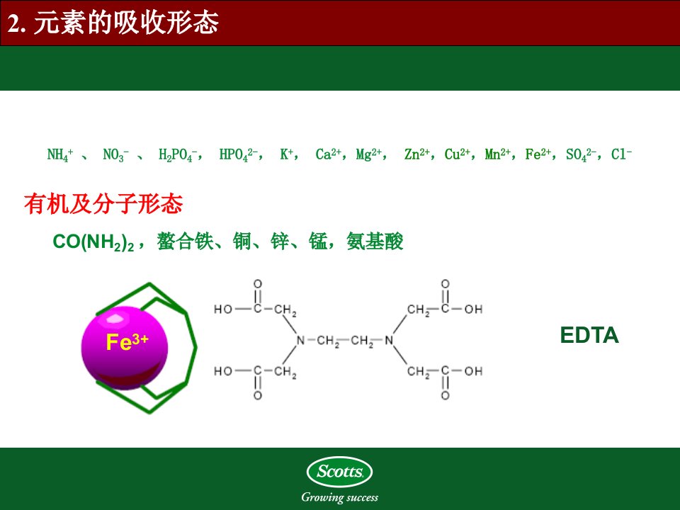 植物对氮磷钾的吸收ppt课件