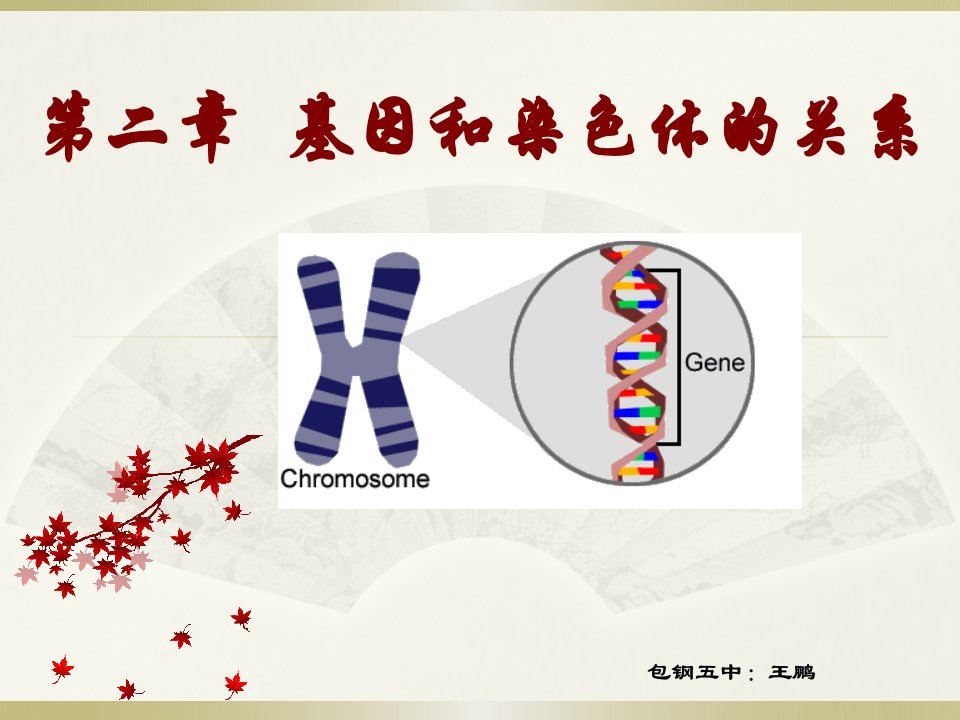 汉水丑生老师的《减数分裂和受精作用》课件（精选）