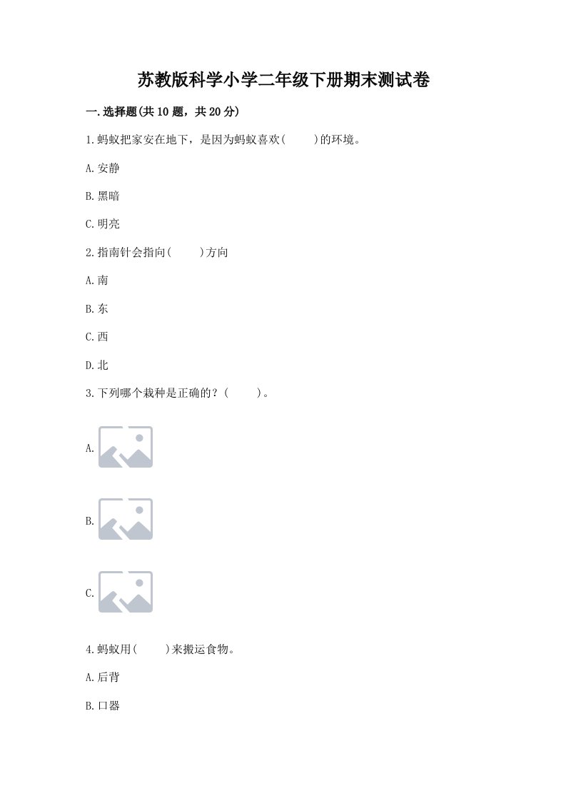 苏教版科学小学二年级下册期末测试卷（模拟题）