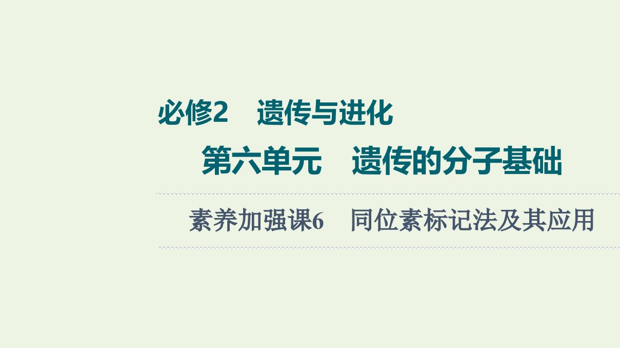 2022版高考生物一轮复习第6单元遗传的分子基础素养加强课6同位素标记法及其应用课件