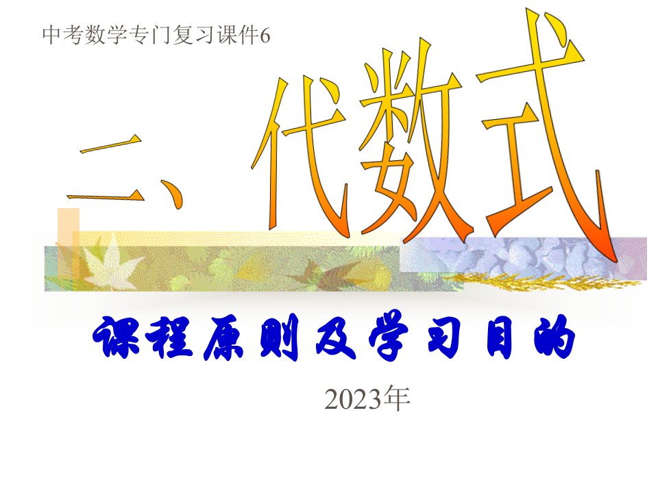 中考数学专门复习6公开课一等奖市赛课一等奖课件