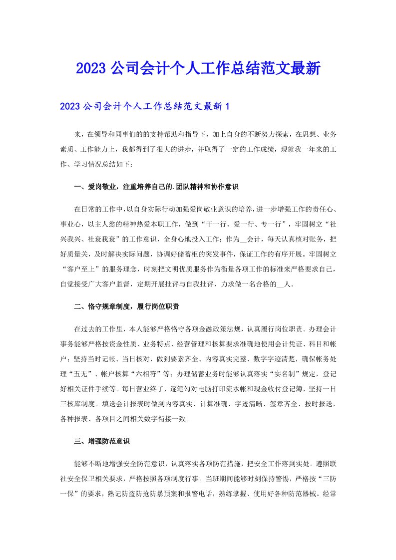 2023公司会计个人工作总结范文最新