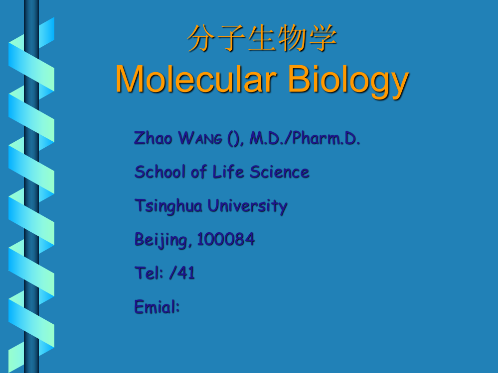 分子生物学常用参考书目ppt课件