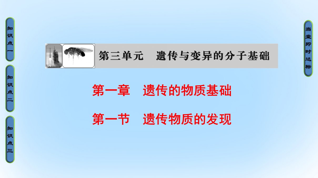 2016_2017版高中生物第3单元遗传与变异的分子基础第1章遗传的物质基础第1节遗传物质的发现课件中图版必修