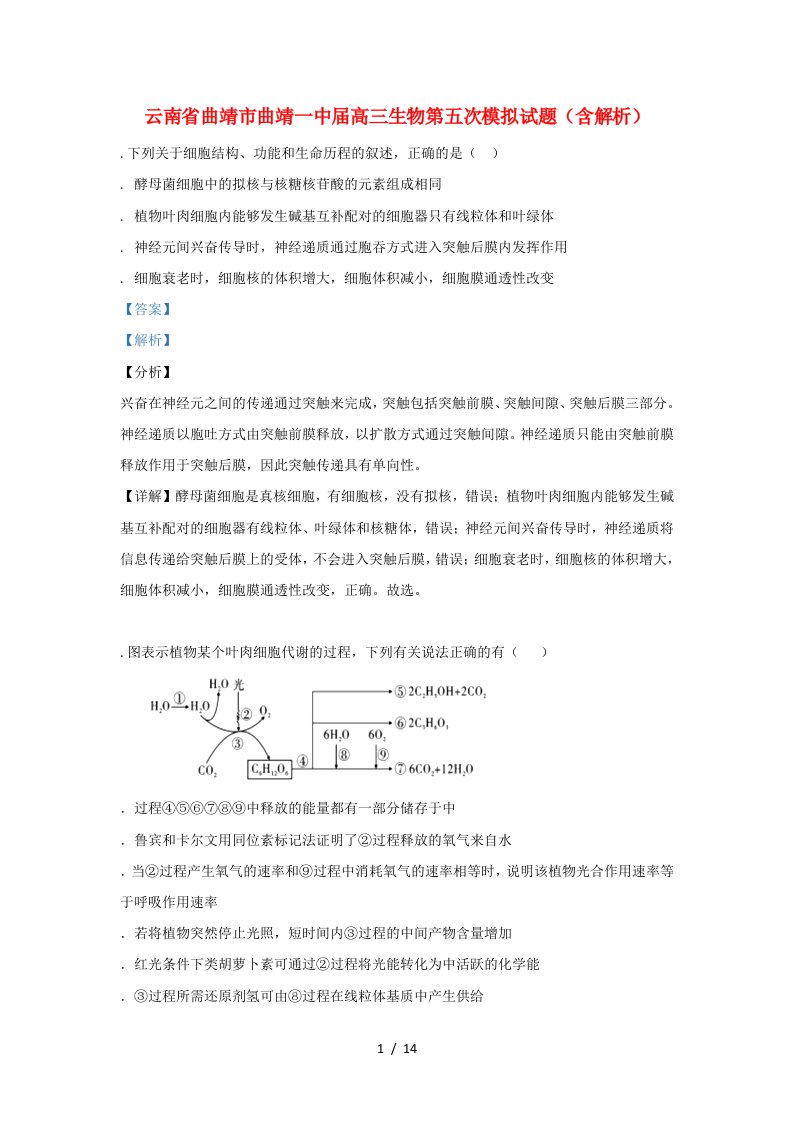 云南省曲靖市曲靖一中2019届高三生物第五次模拟试题