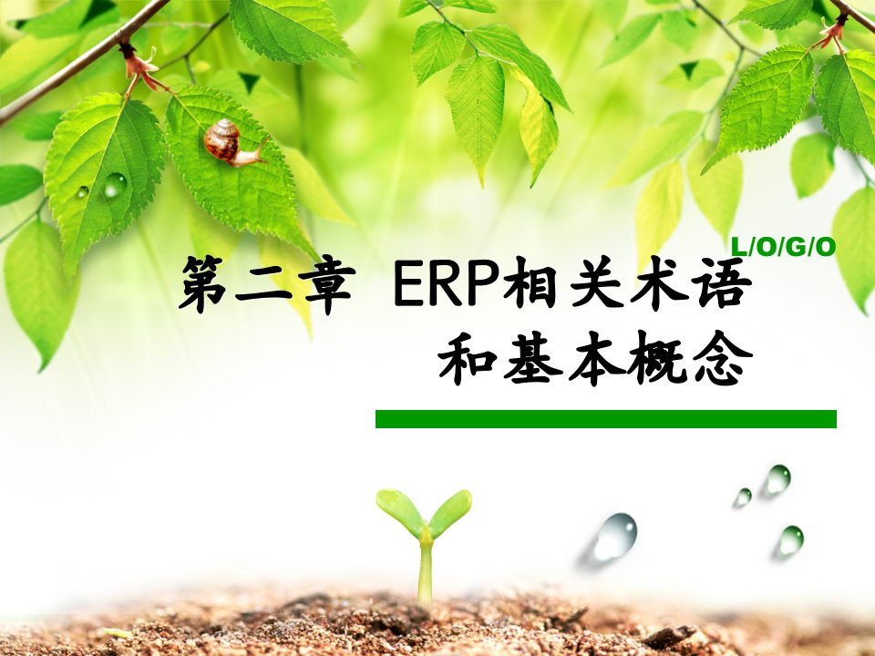 ERP相关术语和基本概念