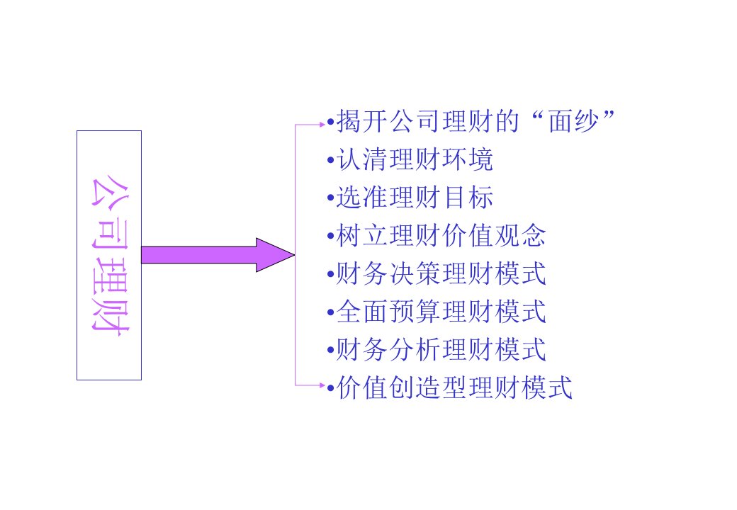 公司理财武汉大学向正军