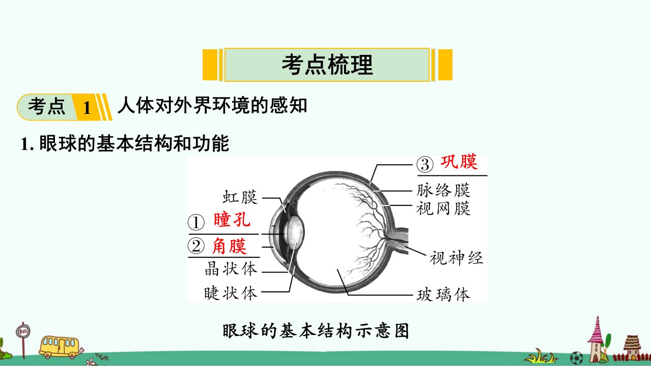 人体生命活动的调节与人类活动对生物圈的影响知识点汇总及练习ppt课件