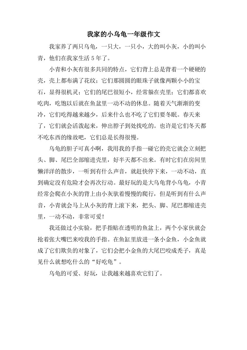 我家的小乌龟一年级作文