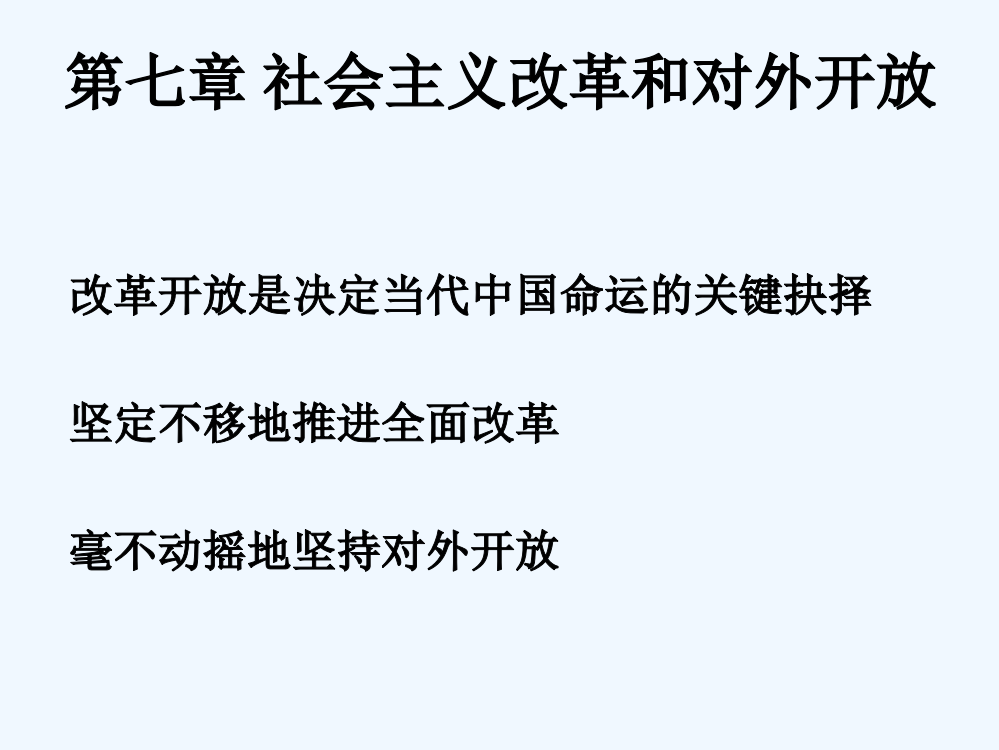 高中历史华师大第六分册课件：《改革开放》ppt