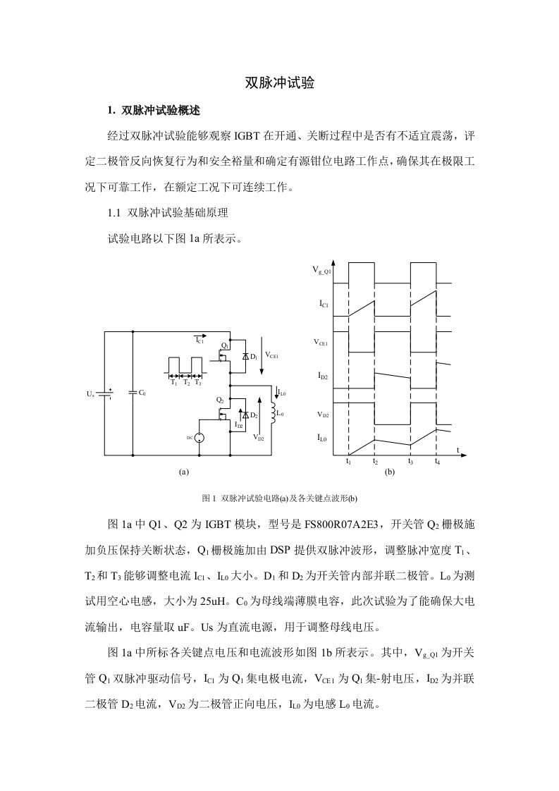 双脉冲实验报告样稿