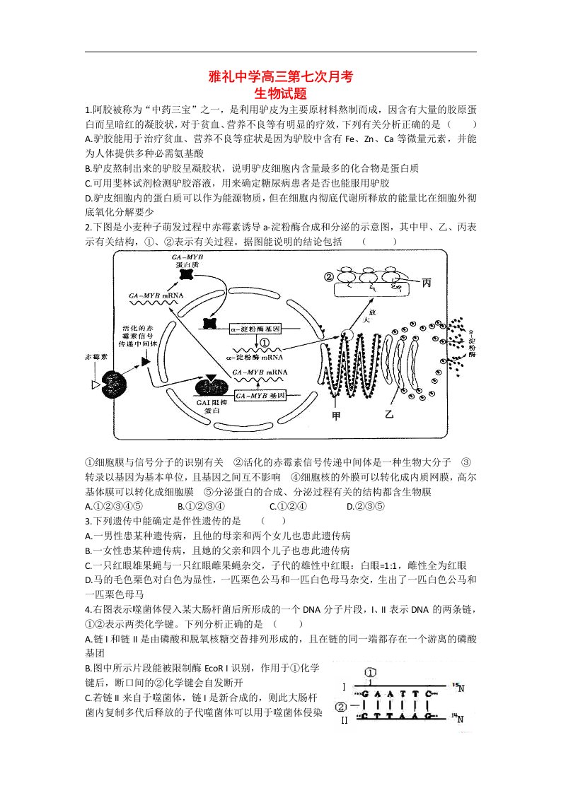 湖南省重点中学高三生物第七次月考试题新人教版