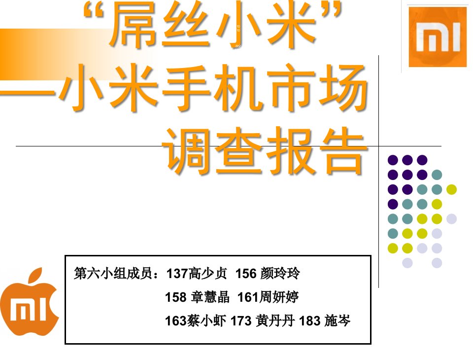 小米手机市场调查报告