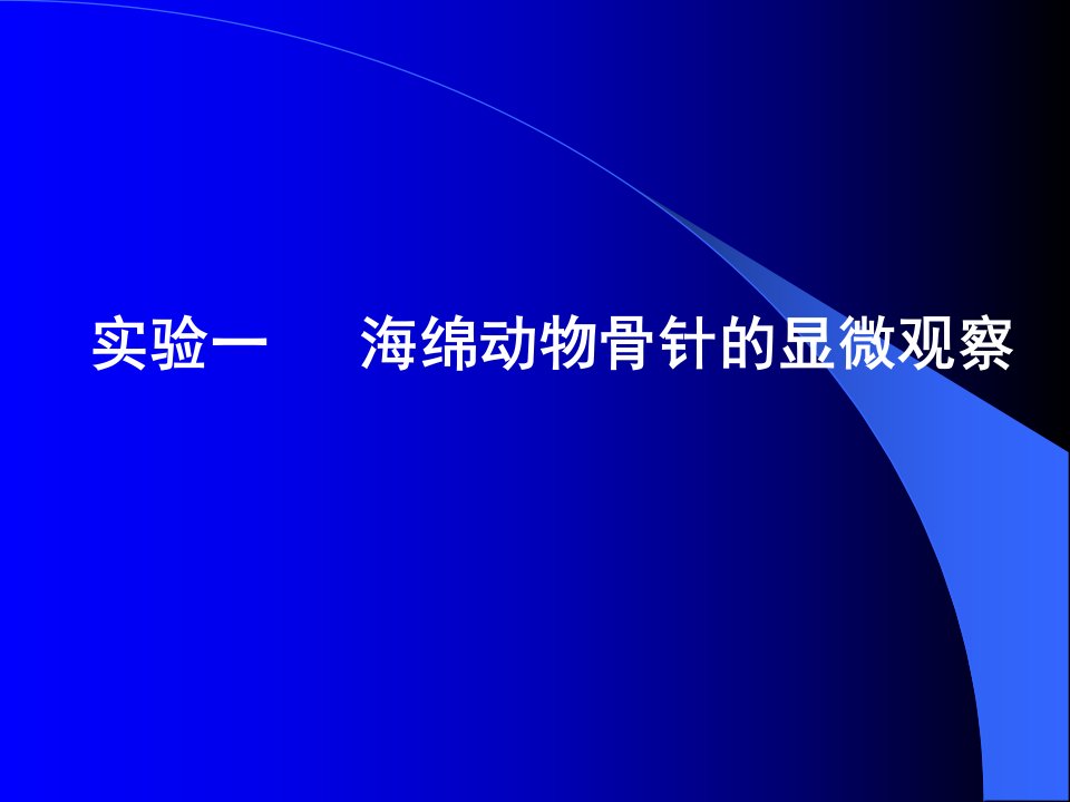 药用动物学实验海绵动物骨针的显微观察