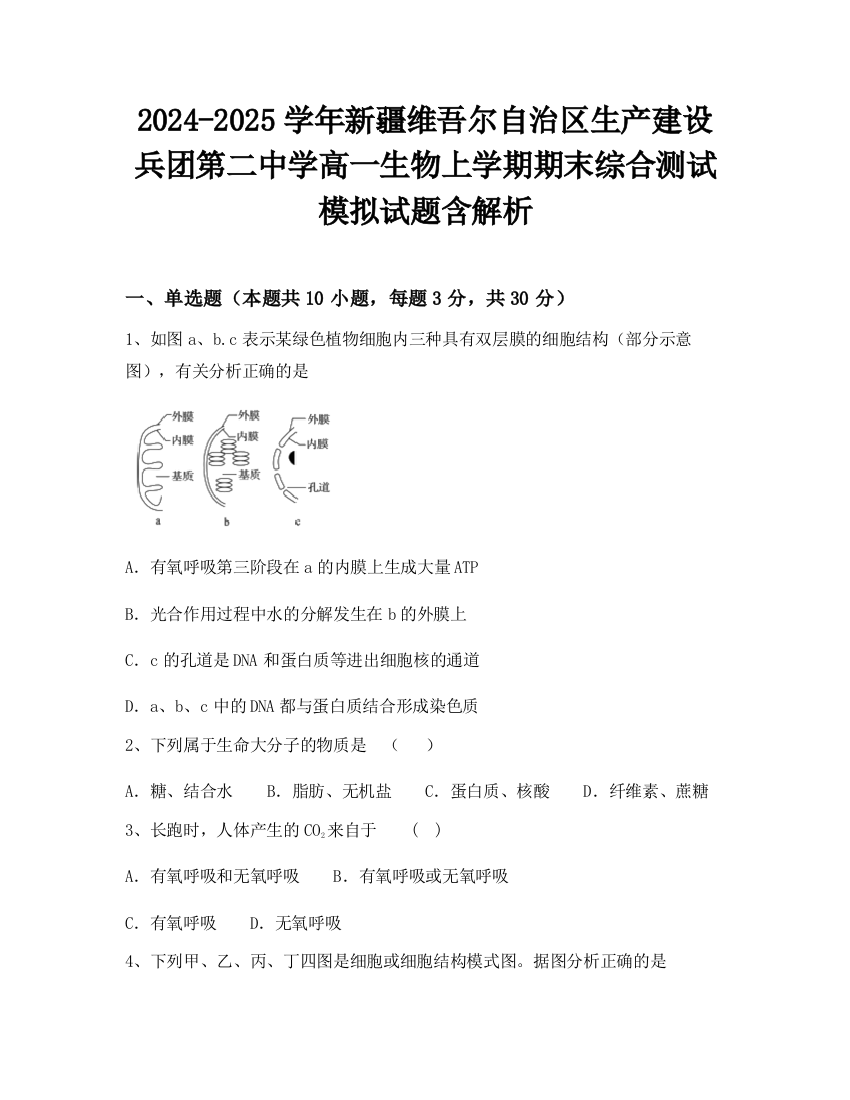 2024-2025学年新疆维吾尔自治区生产建设兵团第二中学高一生物上学期期末综合测试模拟试题含解析