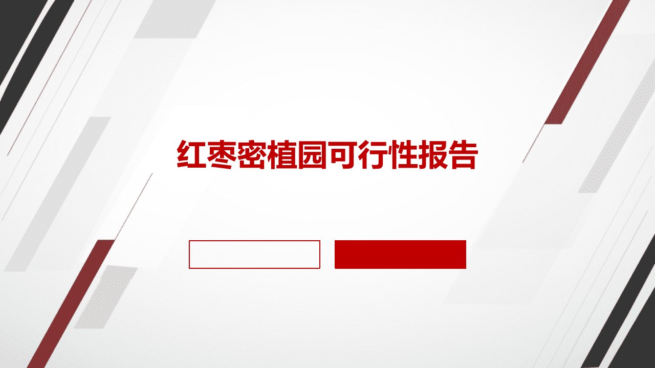 红枣密植园可行性报告