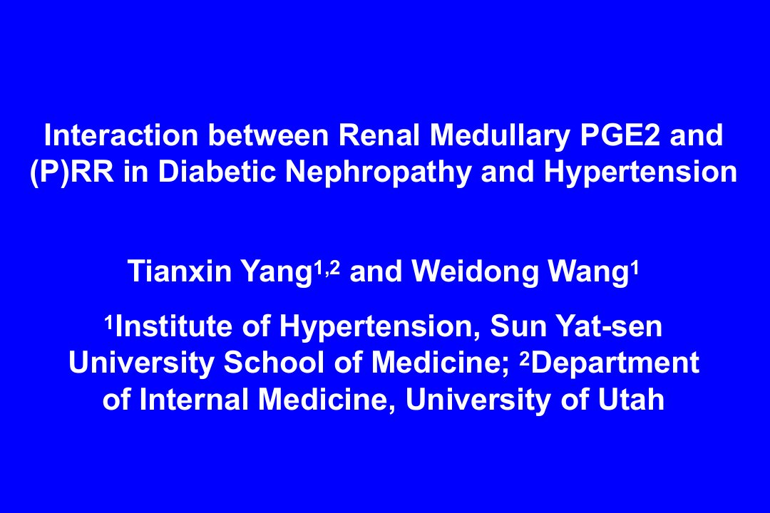 肾髓质PGE2及肾素受体在糖尿病肾病和高血压中的作用PPT医学课件