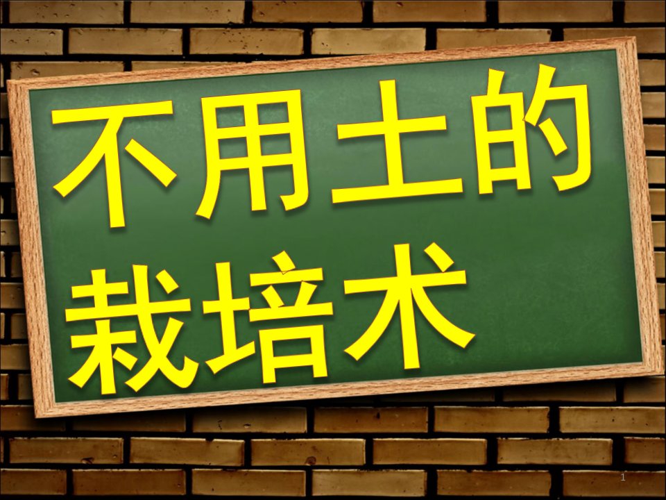 不用土的栽培术课件