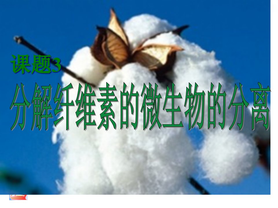 分解纤维素的微生物的分离知识点市公开课获奖课件省名师示范课获奖课件