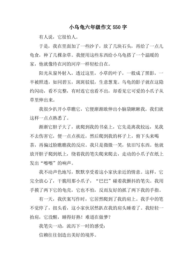 小乌龟六年级作文550字