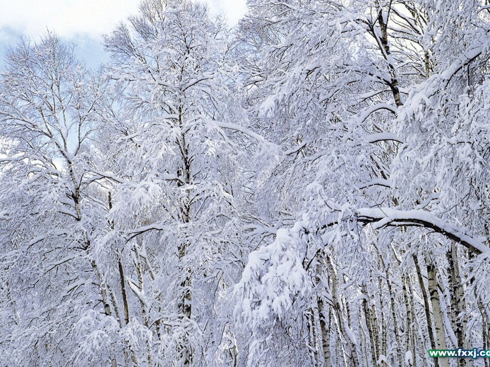 鲁迅的散文诗《雪》课件