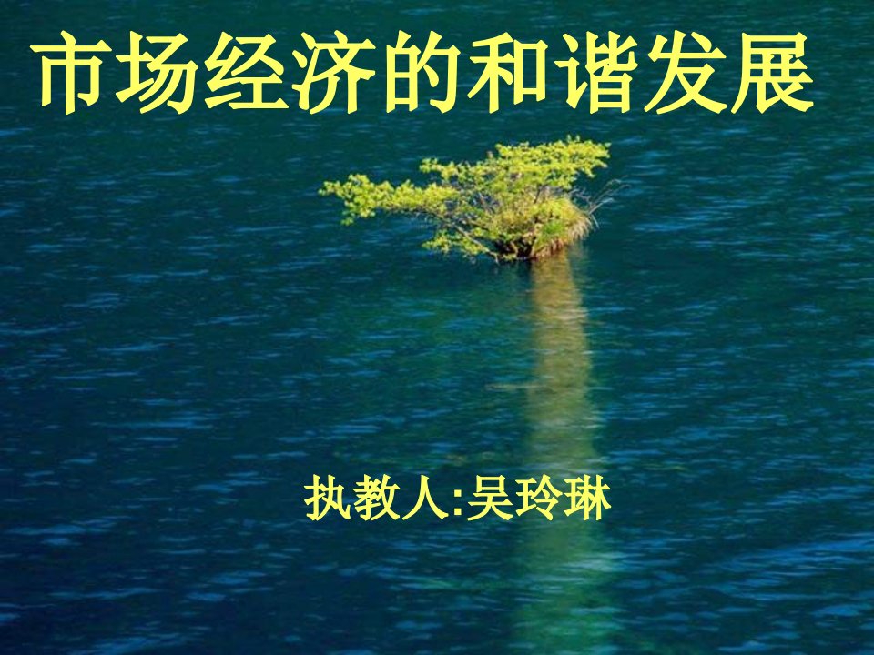 市场经济的和谐发展执教讲义(ppt)