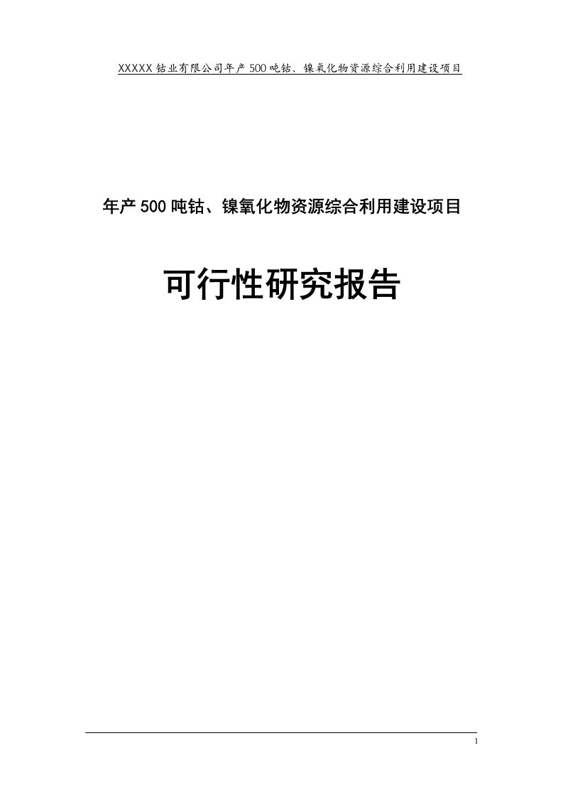 年产500吨钴、镍氧化物资源综合利用建设项目可行性研究报告含详细财务表