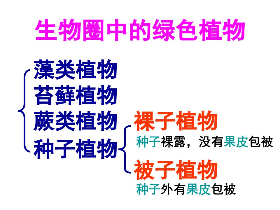 七年级生物上册第三单元生物圈中的绿色植物复习课件ppt