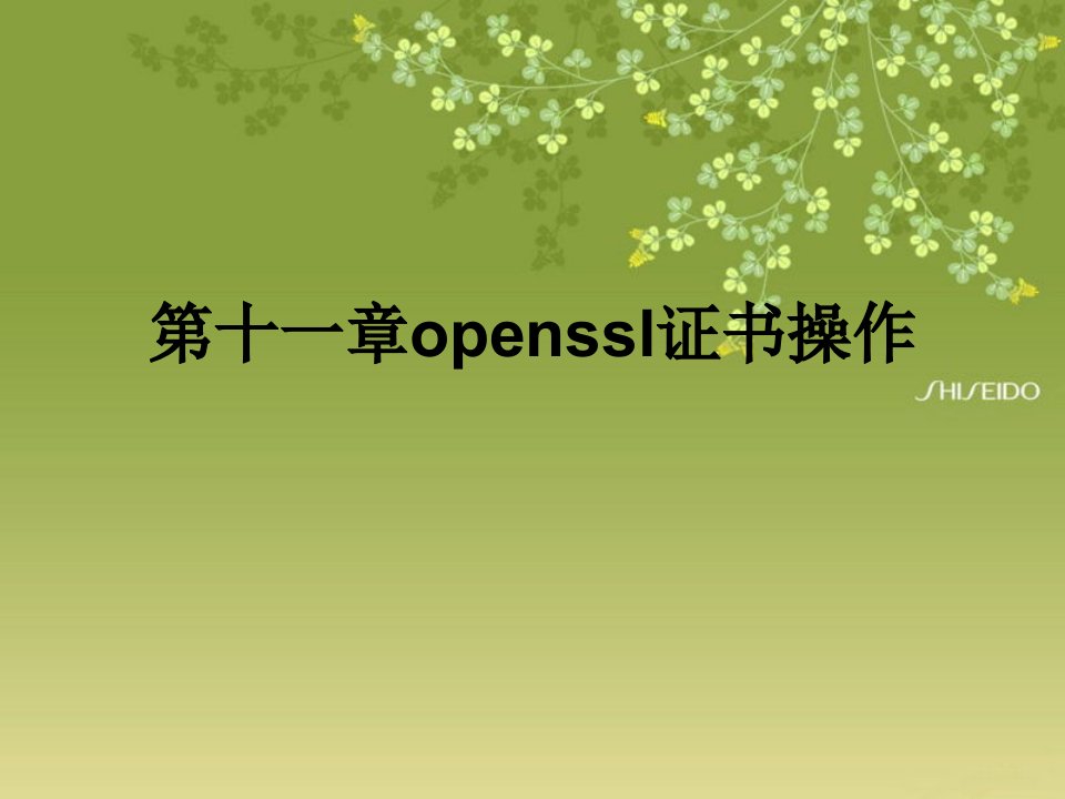 《openssl证书操作》PPT课件