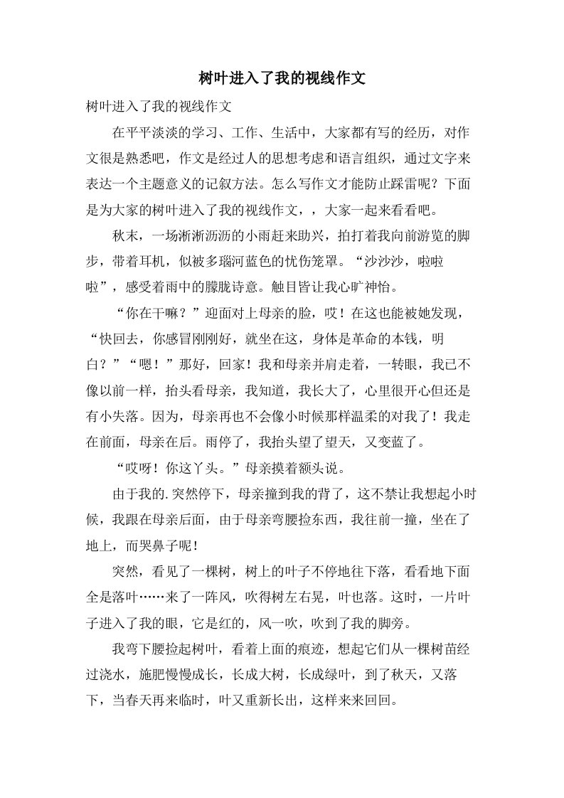 树叶进入了我的视线作文