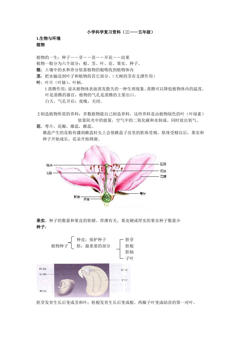 教科版小学科学毕业总复习提纲