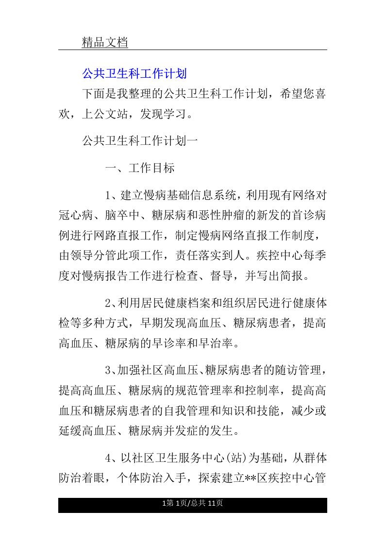 公共卫生科工作总结计划