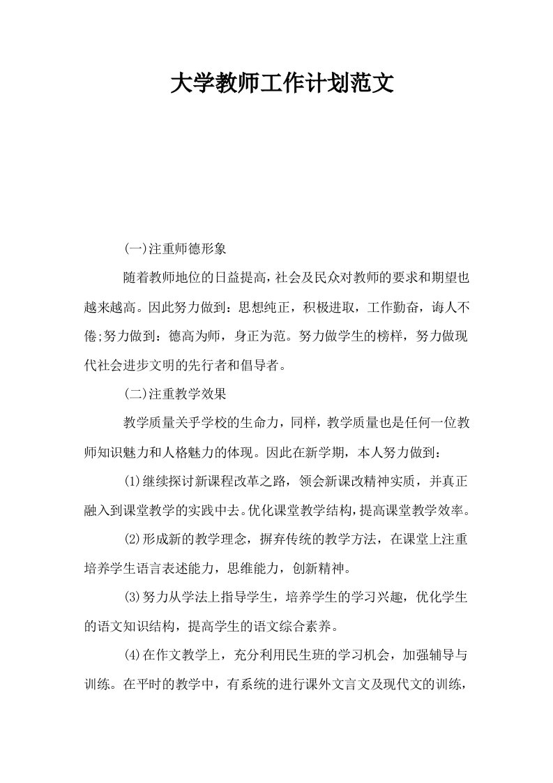 大学教师工作计划范文