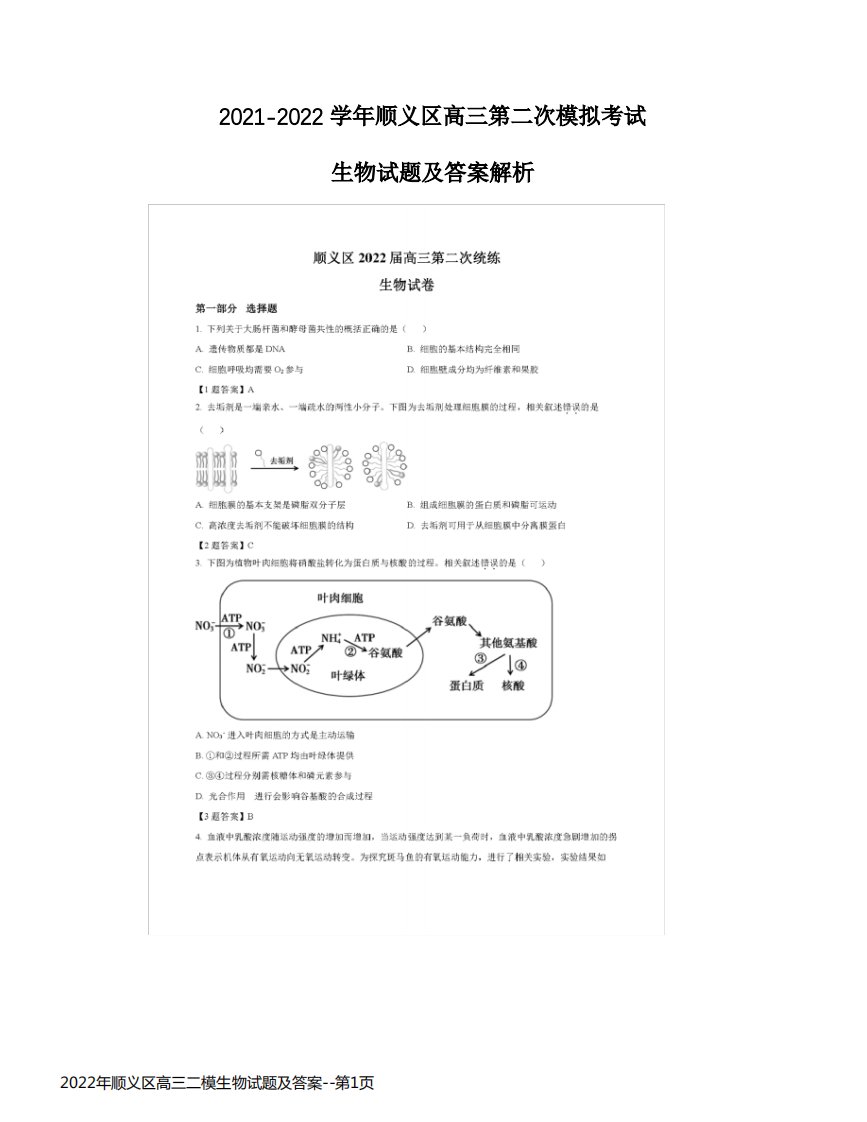 2022年顺义区高三二模生物试题及答案