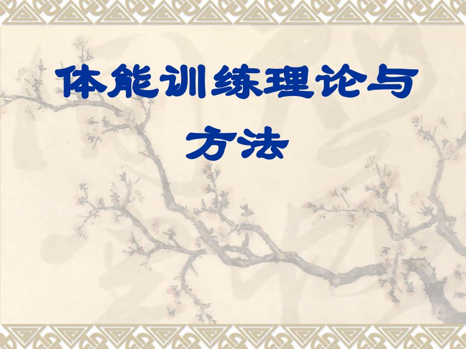 体能训练理论与方法第四章运动员体能基本内容--速度素质