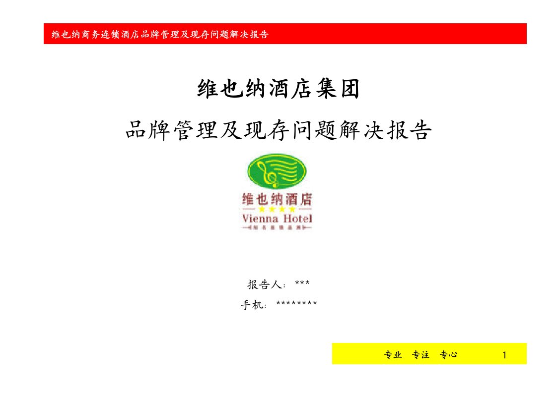 （最新）维也纳品牌管理及现存问题解决报告