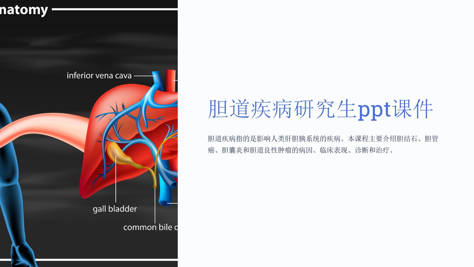 胆道疾病研究生课件