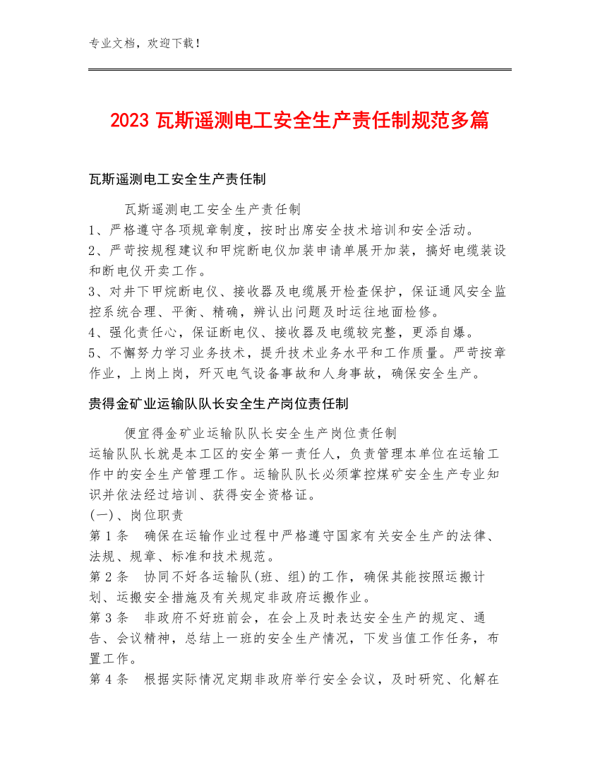 2023瓦斯遥测电工安全生产责任制规范多篇