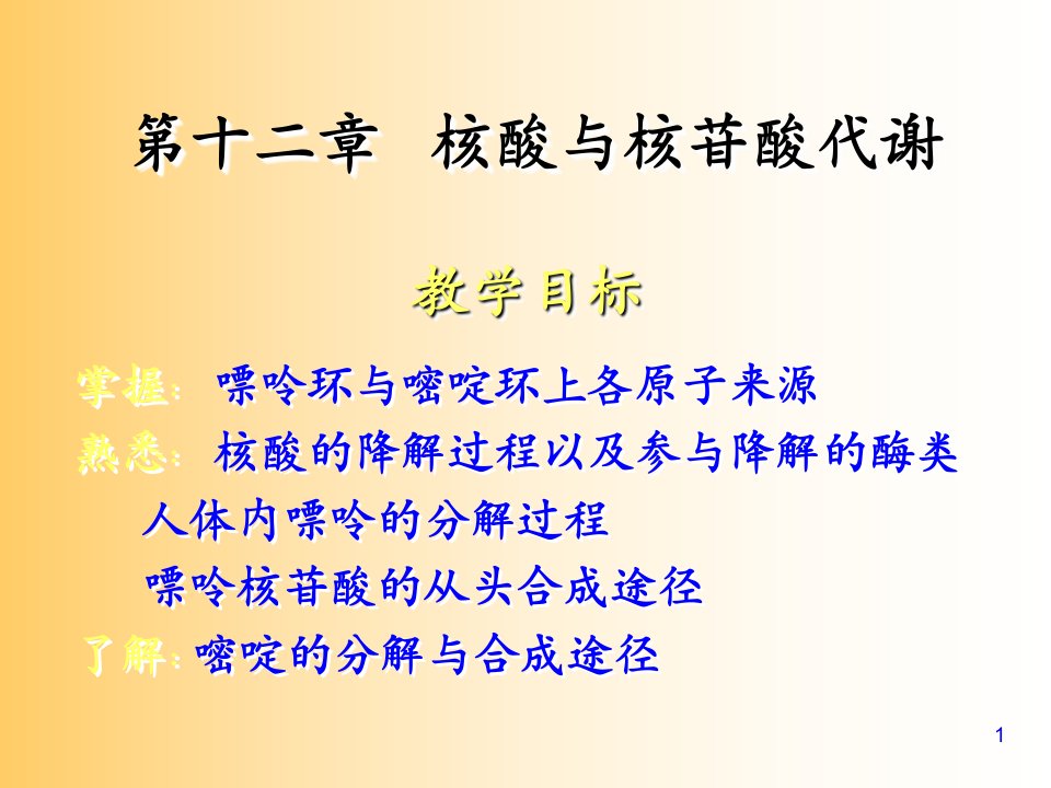 核苷酸代谢及DNA的生物合成课件