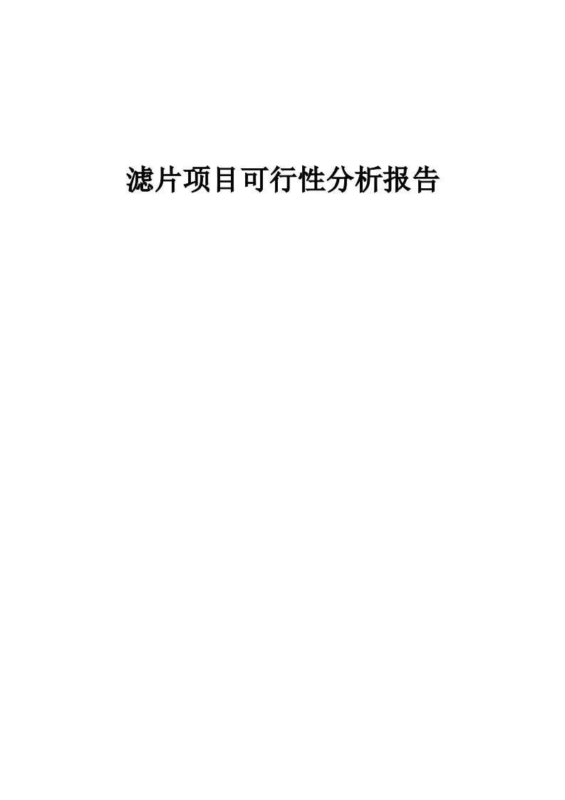 滤片项目可行性分析报告