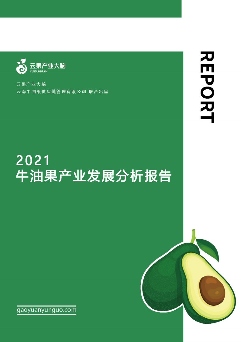 云果-2021牛油果产业发展分析报告-26正式版