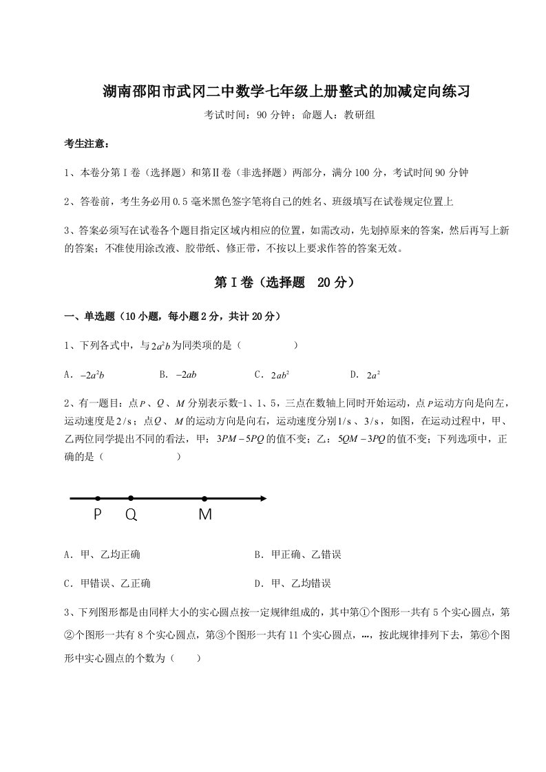 专题对点练习湖南邵阳市武冈二中数学七年级上册整式的加减定向练习试题（含答案解析版）