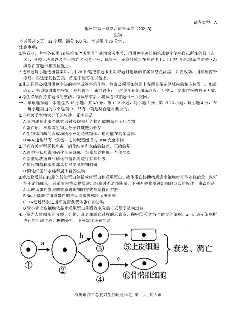 广东省梅州市2021届高三下学期3月总复习质检生物试题Word版含答案