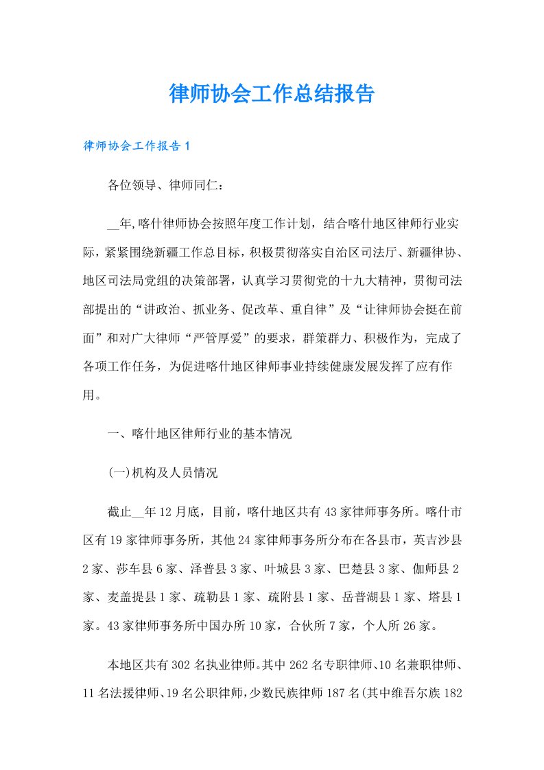 律师协会工作总结报告