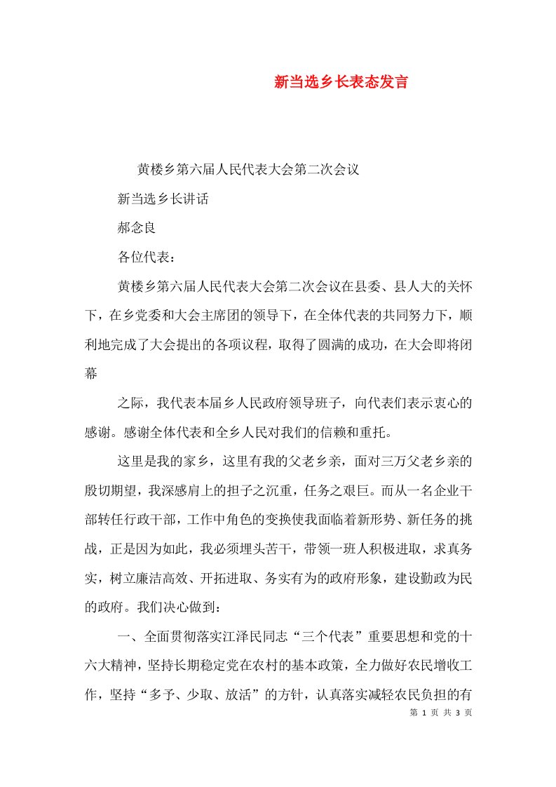 新当选乡长表态发言（三）