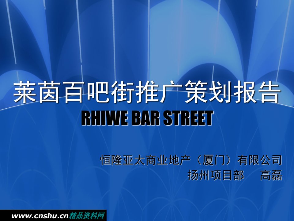 莱茵地产百吧街推广策划报告