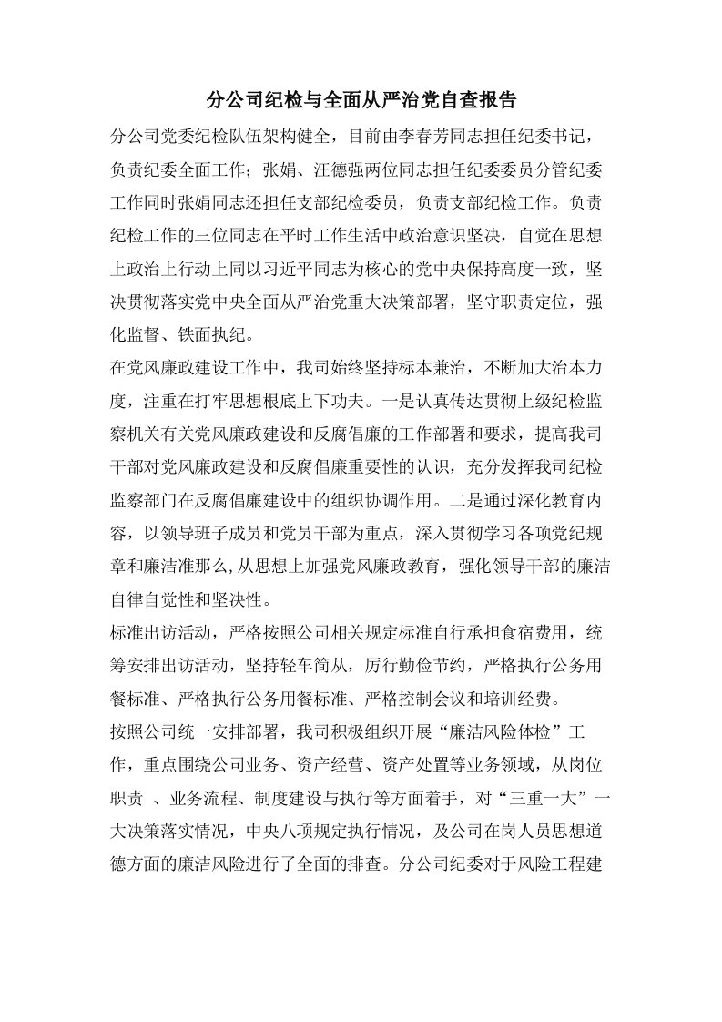 分公司纪检与全面从严治党自查报告