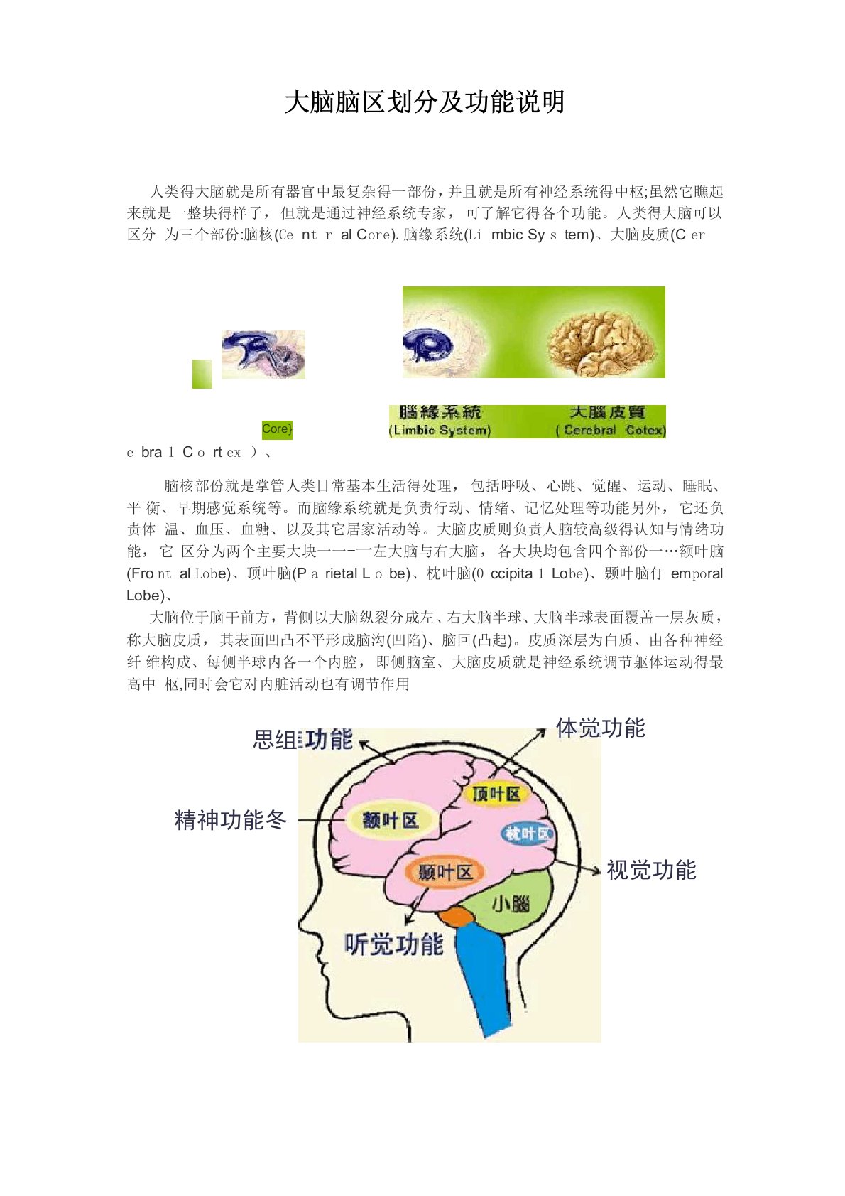 各脑区划分及功能大脑对应的功能区